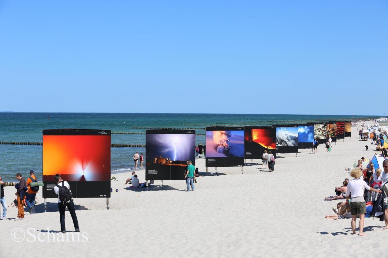 Ostseelagune Zingst, Exklusive Dhh, Strandnah, Sauna, Kamin, 3 Sz, 2 Baeder, Glasfaser, Haustierfrei, Garten Mit Suedterrasse, E-Ladesaeule, 2 Stellplaetze, Strandkorb, Fahrradschuppen, Waschmaschine, Trockner, Nichtraucher Buitenkant foto