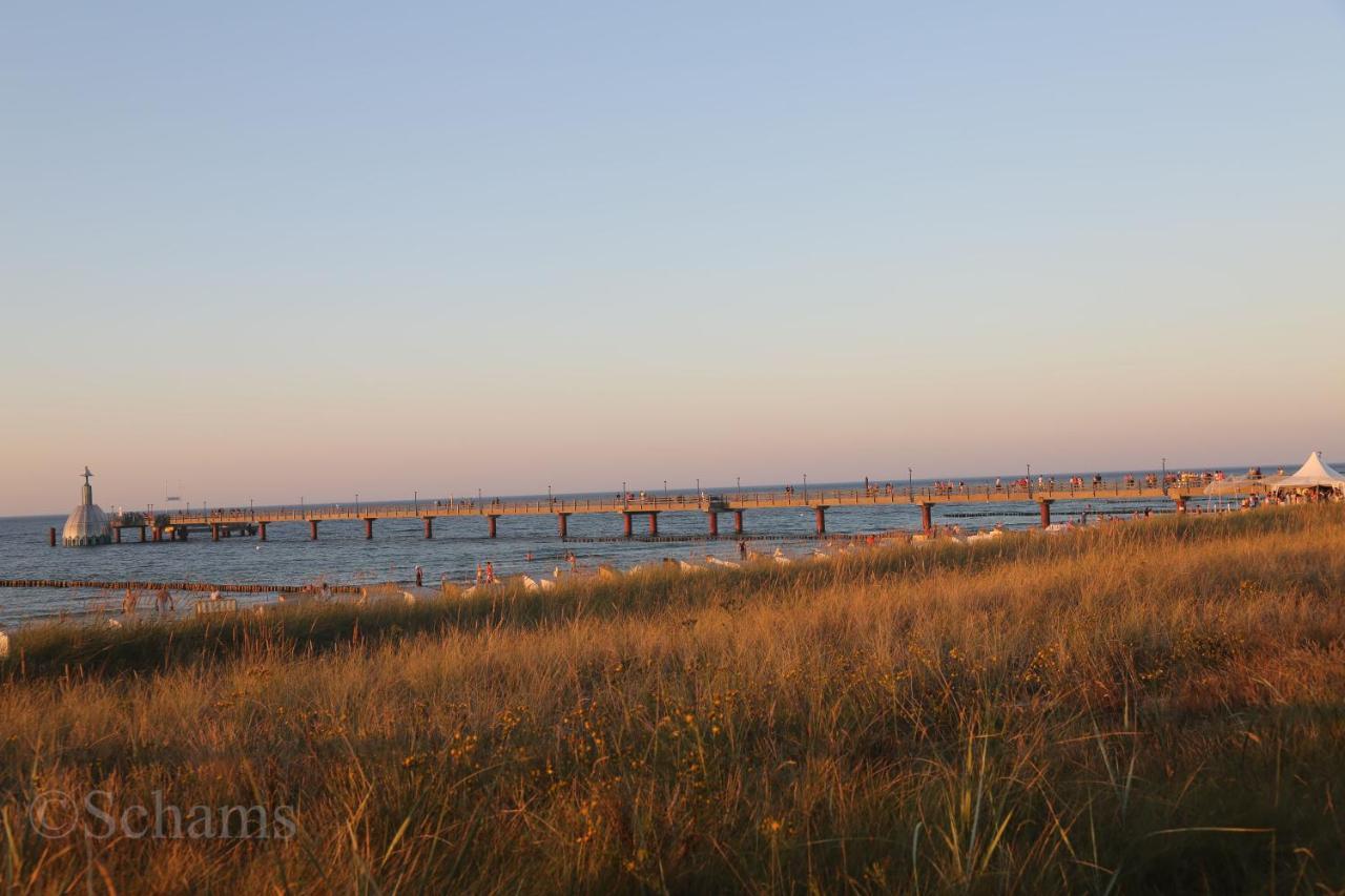 Ostseelagune Zingst, Exklusive Dhh, Strandnah, Sauna, Kamin, 3 Sz, 2 Baeder, Glasfaser, Haustierfrei, Garten Mit Suedterrasse, E-Ladesaeule, 2 Stellplaetze, Strandkorb, Fahrradschuppen, Waschmaschine, Trockner, Nichtraucher Buitenkant foto