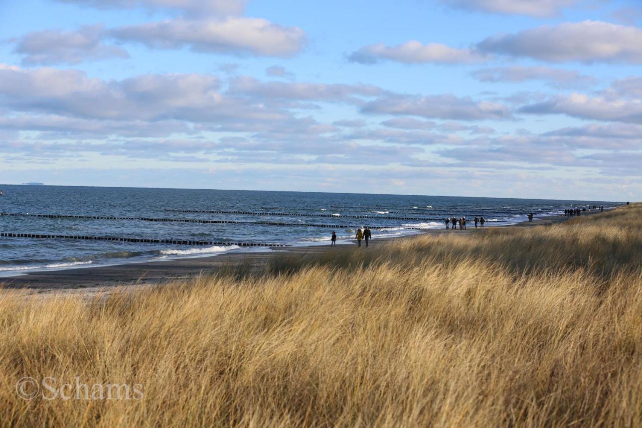 Ostseelagune Zingst, Exklusive Dhh, Strandnah, Sauna, Kamin, 3 Sz, 2 Baeder, Glasfaser, Haustierfrei, Garten Mit Suedterrasse, E-Ladesaeule, 2 Stellplaetze, Strandkorb, Fahrradschuppen, Waschmaschine, Trockner, Nichtraucher Buitenkant foto