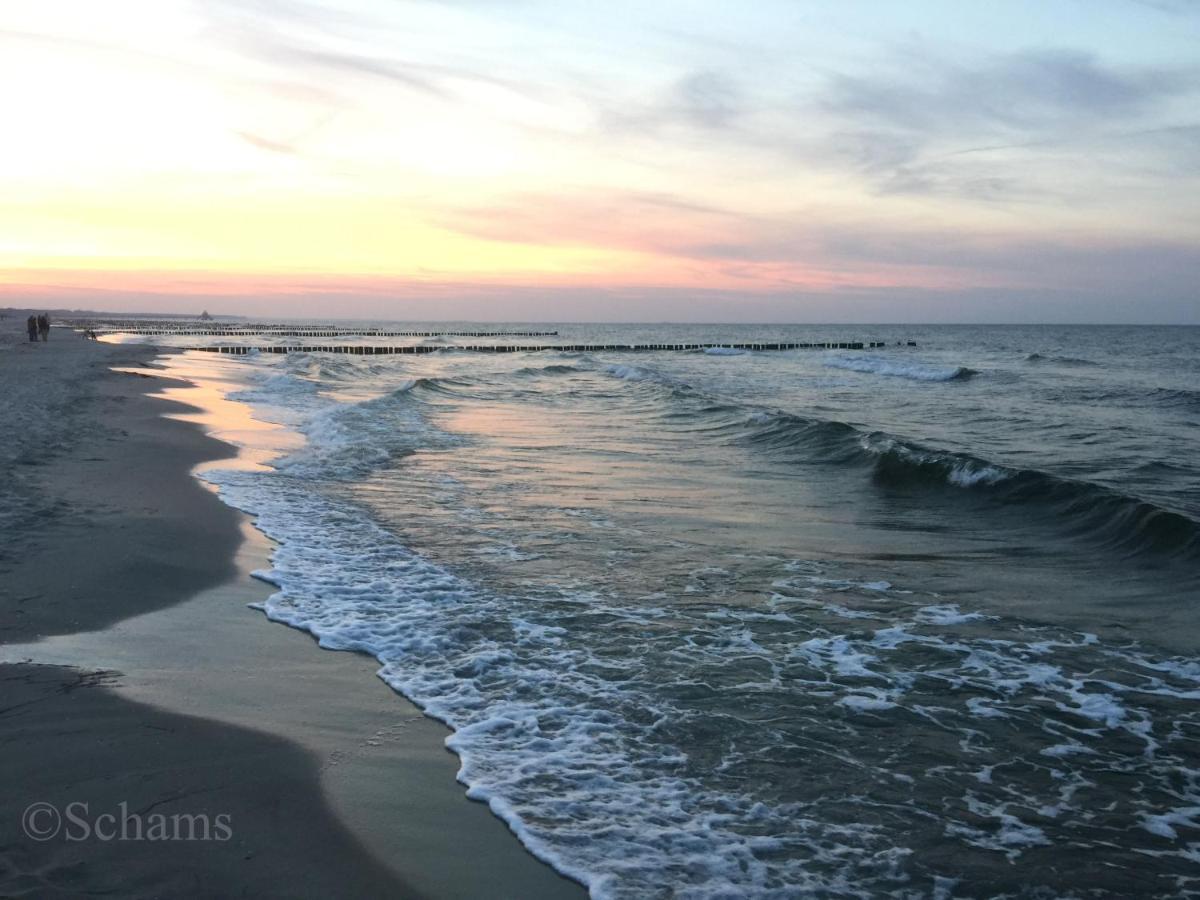 Ostseelagune Zingst, Exklusive Dhh, Strandnah, Sauna, Kamin, 3 Sz, 2 Baeder, Glasfaser, Haustierfrei, Garten Mit Suedterrasse, E-Ladesaeule, 2 Stellplaetze, Strandkorb, Fahrradschuppen, Waschmaschine, Trockner, Nichtraucher Buitenkant foto